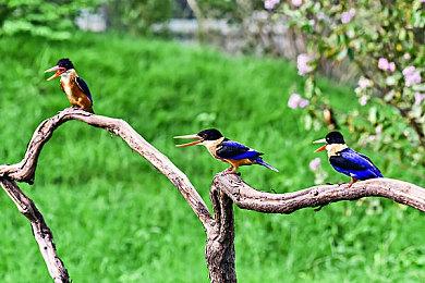 《异星工厂》官方宣布开发最终更新 新作酝酿中